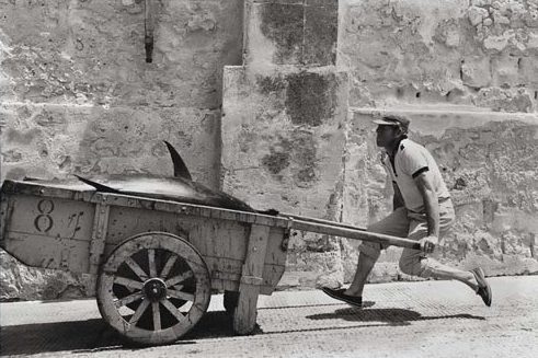Leonard Freed, Sicilia, 1975